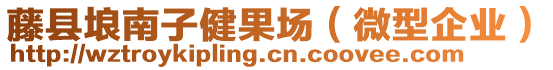 藤縣埌南子健果場（微型企業(yè)）