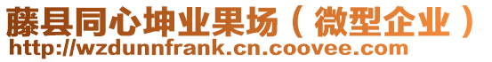 藤县同心坤业果场（微型企业）