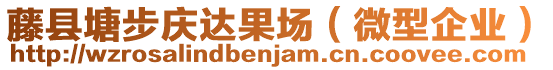 藤县塘步庆达果场（微型企业）