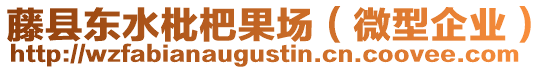 藤縣東水枇杷果場(chǎng)（微型企業(yè)）