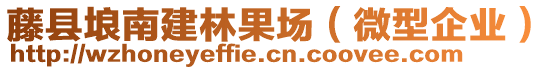 藤縣埌南建林果場（微型企業(yè)）