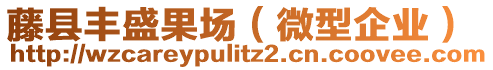 藤縣豐盛果場(chǎng)（微型企業(yè)）