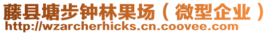 藤縣塘步鐘林果場（微型企業(yè)）