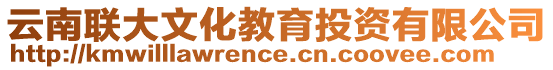 云南聯(lián)大文化教育投資有限公司