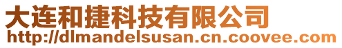 大連和捷科技有限公司