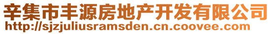 辛集市豐源房地產(chǎn)開發(fā)有限公司