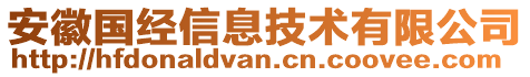 安徽國經信息技術有限公司