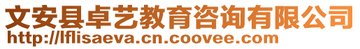 文安县卓艺教育咨询有限公司