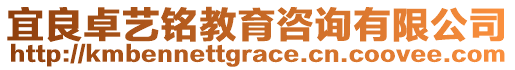 宜良卓藝銘教育咨詢有限公司