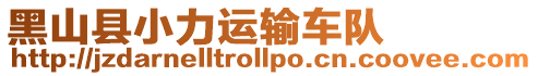 黑山縣小力運(yùn)輸車隊(duì)