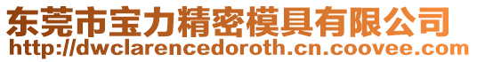 東莞市寶力精密模具有限公司
