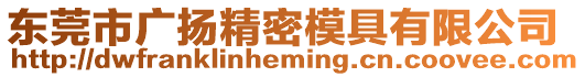 東莞市廣揚(yáng)精密模具有限公司