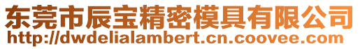 東莞市辰寶精密模具有限公司