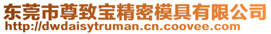 東莞市尊致寶精密模具有限公司