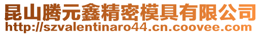 昆山騰元鑫精密模具有限公司