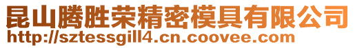 昆山騰勝榮精密模具有限公司