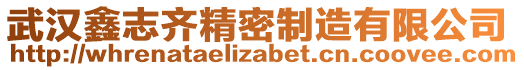 武漢鑫志齊精密制造有限公司