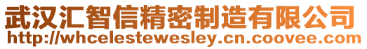 武漢匯智信精密制造有限公司
