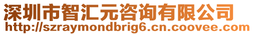 深圳市智匯元咨詢有限公司