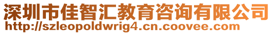 深圳市佳智匯教育咨詢有限公司