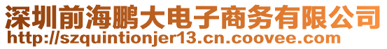 深圳前海鵬大電子商務(wù)有限公司