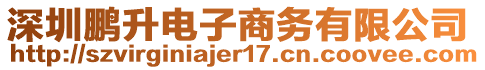 深圳鵬升電子商務有限公司