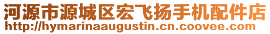 河源市源城區(qū)宏飛揚手機配件店