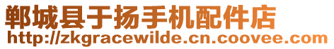 鄲城縣于揚(yáng)手機(jī)配件店