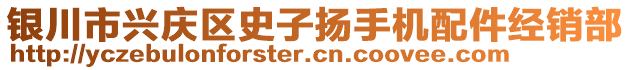 銀川市興慶區(qū)史子揚(yáng)手機(jī)配件經(jīng)銷部