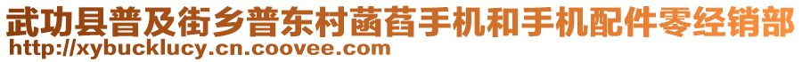 武功縣普及街鄉(xiāng)普東村菡萏手機和手機配件零經(jīng)銷部