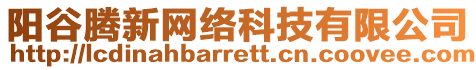 陽谷騰新網(wǎng)絡(luò)科技有限公司