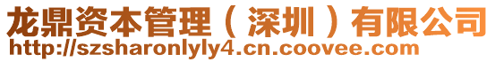 龍鼎資本管理(深圳)有限公司