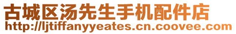 古城區(qū)湯先生手機配件店