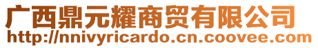 廣西鼎元耀商貿(mào)有限公司