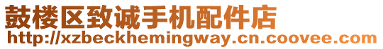 鼓樓區致誠手機配件店