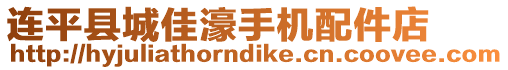 連平縣城佳濠手機配件店