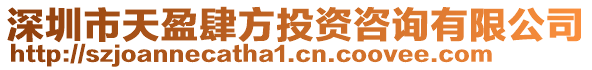 深圳市天盈肆方投資咨詢有限公司