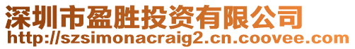 深圳市盈勝投資有限公司