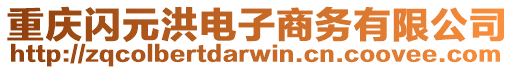 重慶閃元洪電子商務(wù)有限公司