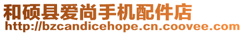 和碩縣愛尚手機配件店