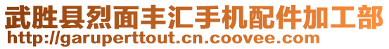 武勝縣烈面豐匯手機(jī)配件加工部