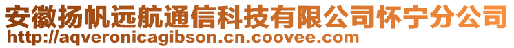 安徽揚(yáng)帆遠(yuǎn)航通信科技有限公司懷寧分公司