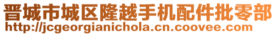 晉城市城區(qū)隆越手機配件批零部