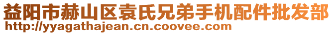 益陽(yáng)市赫山區(qū)袁氏兄弟手機(jī)配件批發(fā)部