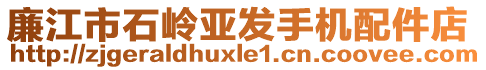 廉江市石嶺亞發(fā)手機(jī)配件店