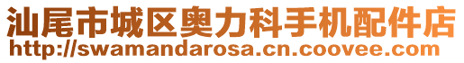 汕尾市城區(qū)奧力科手機配件店