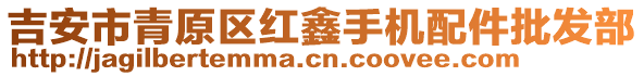 吉安市青原區(qū)紅鑫手機配件批發(fā)部