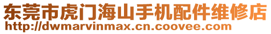 東莞市虎門海山手機(jī)配件維修店