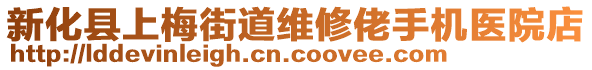 新化縣上梅街道維修佬手機醫(yī)院店