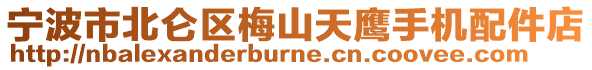 寧波市北侖區(qū)梅山天鷹手機(jī)配件店